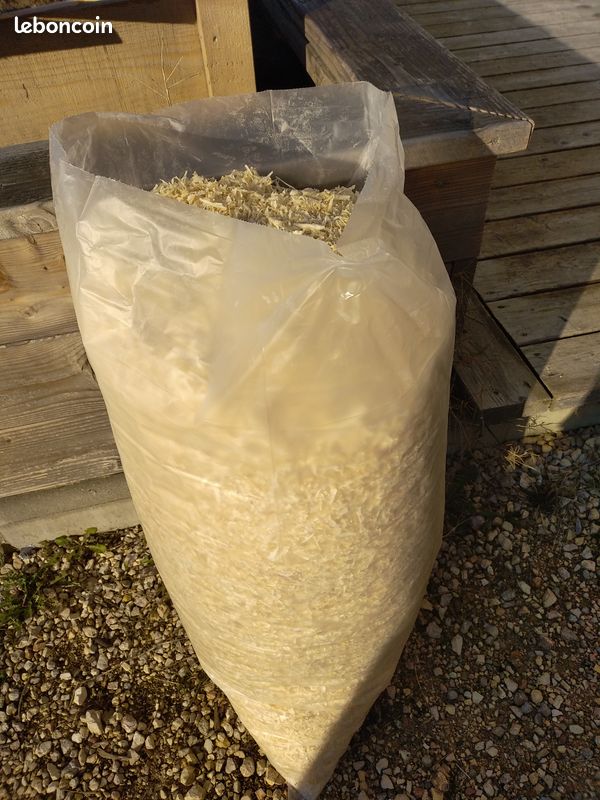 Copeau de bois (image 1)