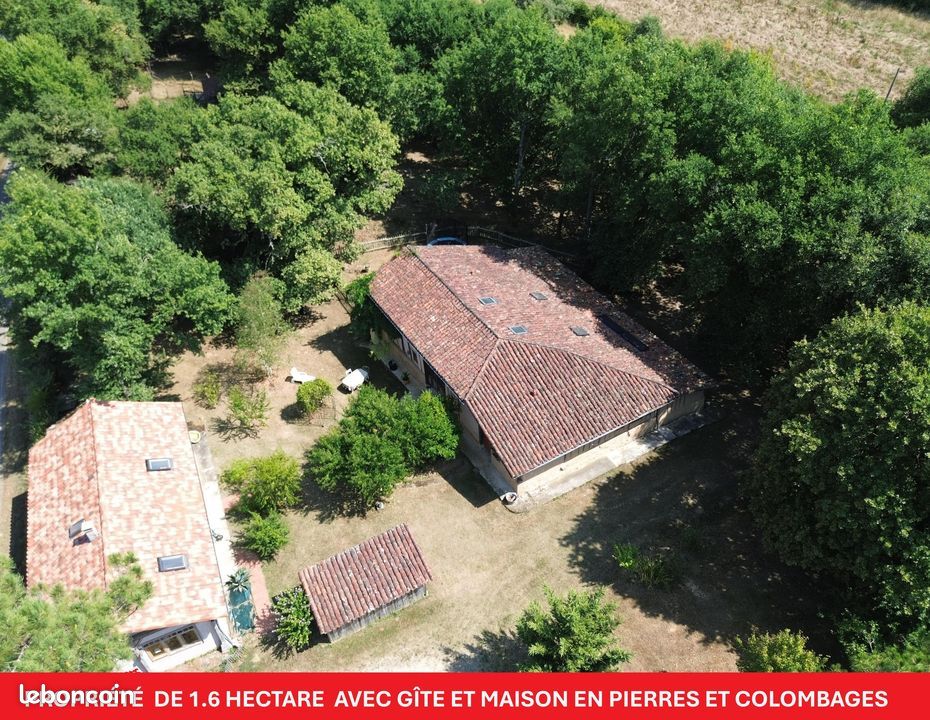 Maison 10 pièces 254 m² · à Labastide-d'Armagnac · 254 m² · 309 000 €