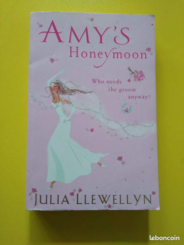 Livre Amy's Honeymoon de Julia Llewellyn (image 1)