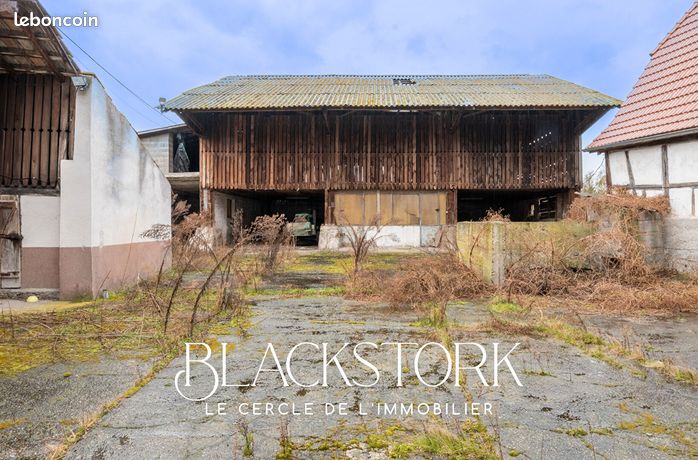 https://img.leboncoin.fr/api/v1/lbcpb1/images/37/1b/11/371b1130d1e3081045efb6d5160baa3808f9ec8f.jpg?rule=ad-image