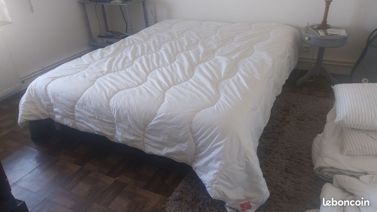 Couette microfibre imprimée Savane 400 g/m², gris