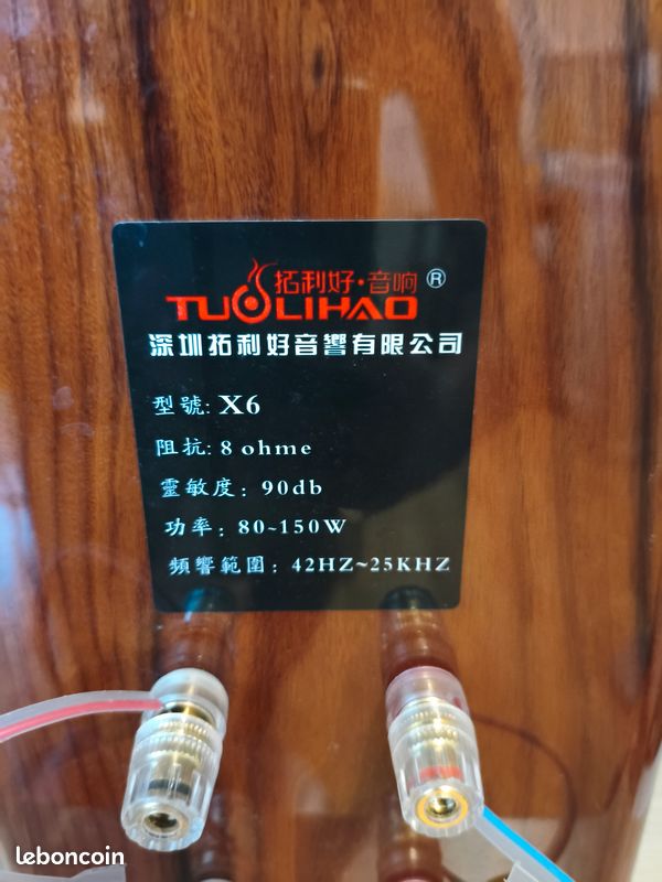 RARE - Paire d'enceintes audiophiles TUOLIHAO X6 (Urgent / Prix sacrifié) (image 4)