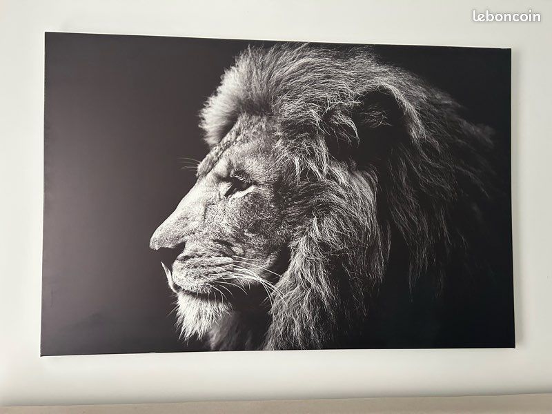 Tableau Lion en toile (image 1)