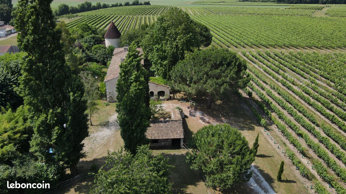 Maison 6 pièces 200 m² · à Saint-Fort-sur-Gironde · 200 m² · 390 000 €