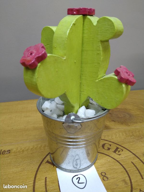 Petit cactus bois fleurs roses (image 3)