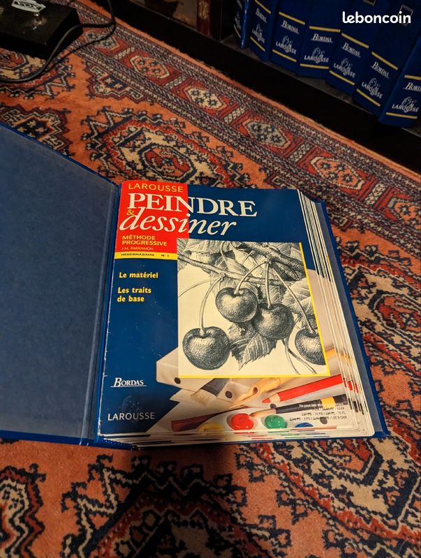 Collection Peindre/Dessiner de Larousse (image 5)