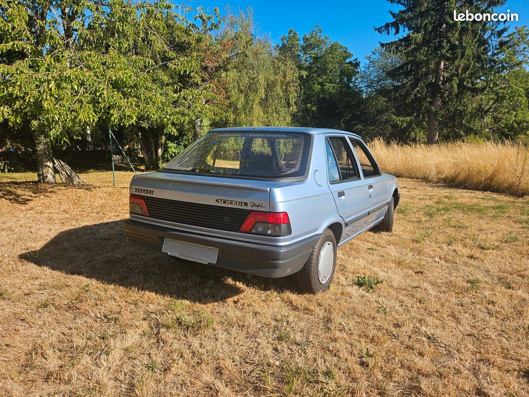 309 GL Profil 1990 héritée d'une 1ière main 36701 kms (image 2)