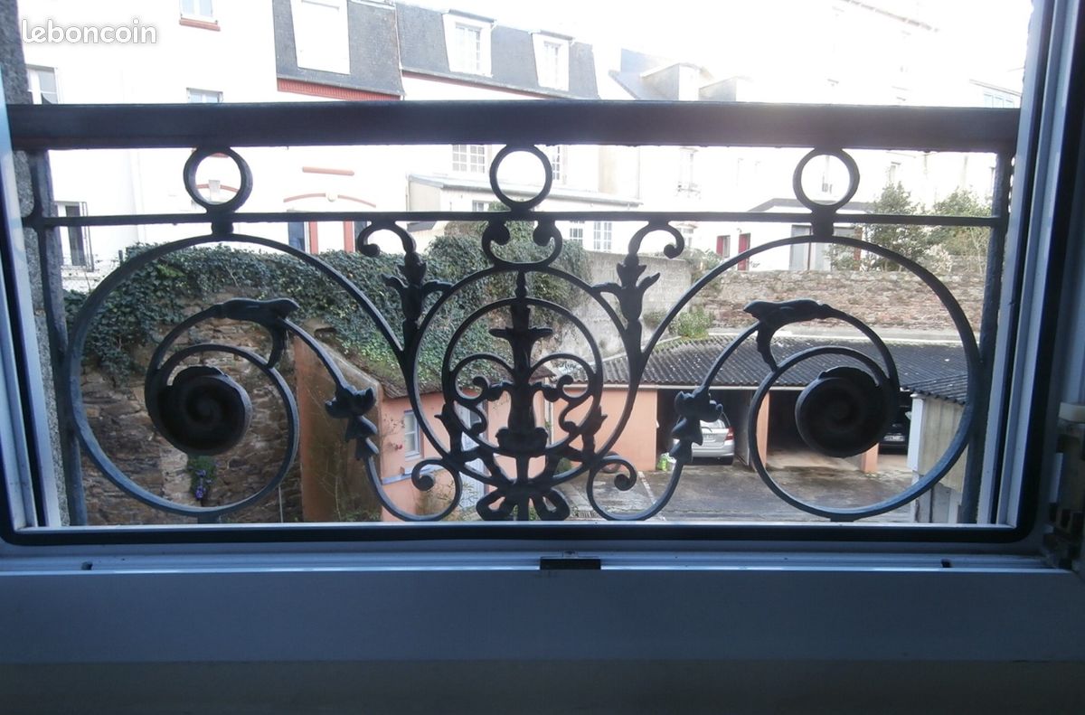 Garde corps en fer forgé (image 2)