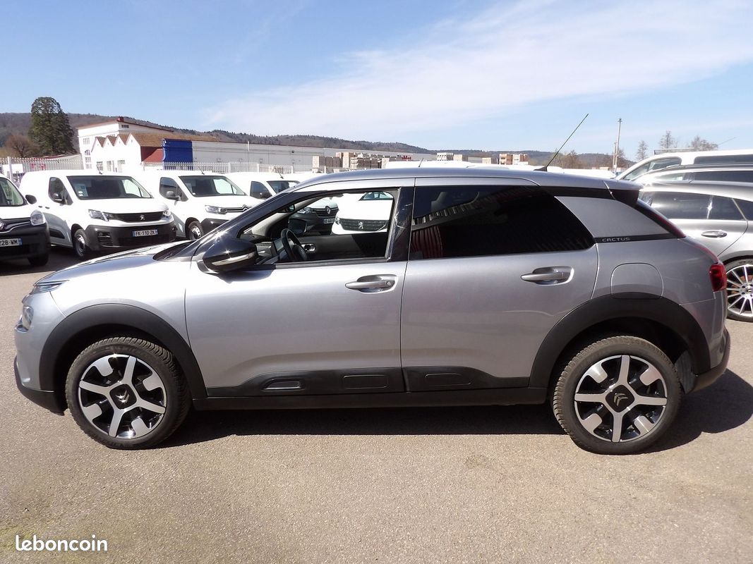 Citroen C4 CACTUS BLUEHDI 100CH S&S SHINE E6.D-TEMP (image 12)