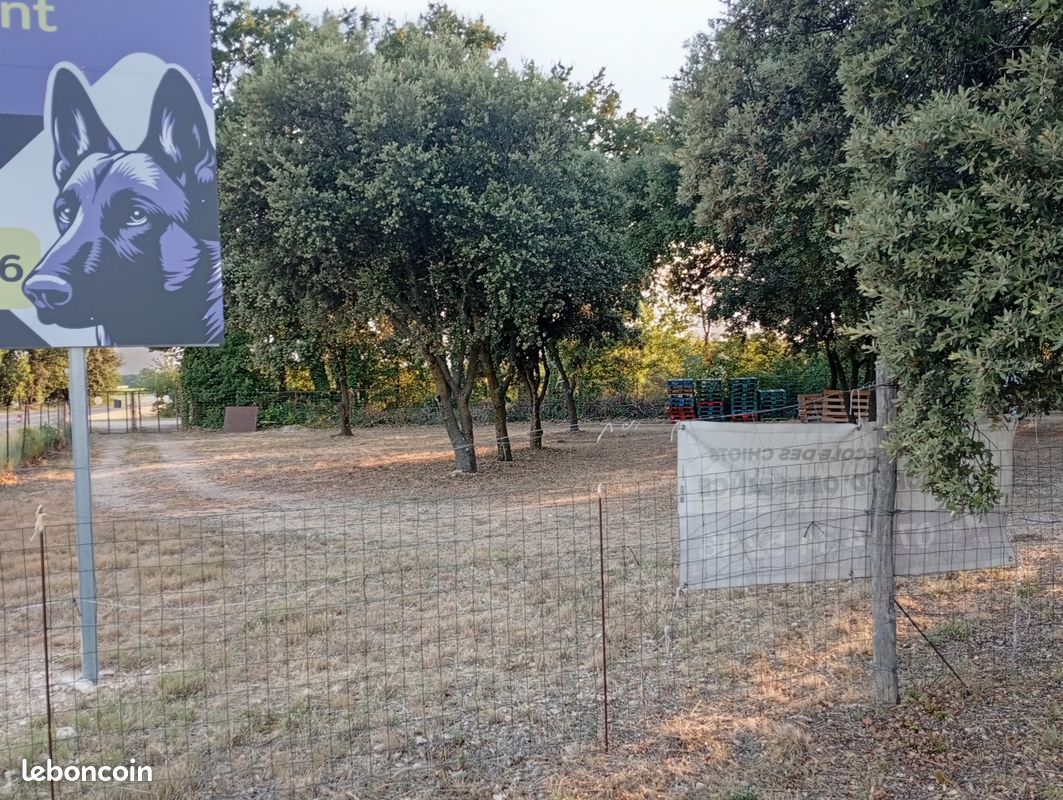 Vente club canin · à Modène · 70 000 €