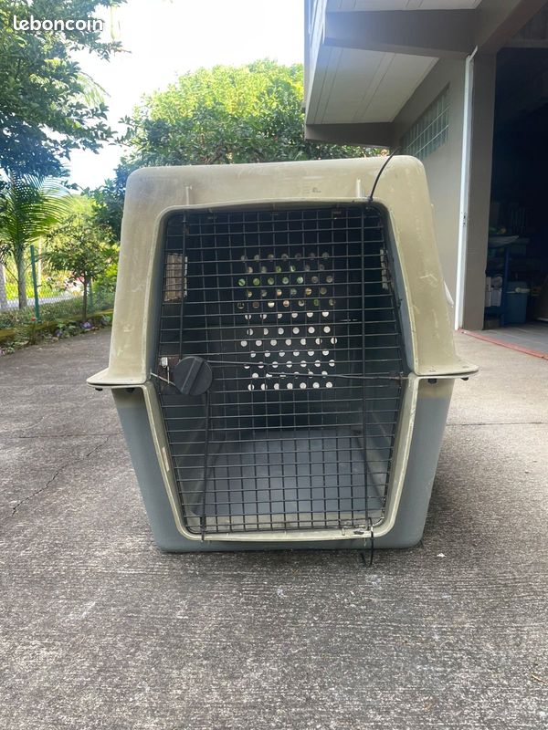 Caisse de transport XXL pour grand chien (image 1)