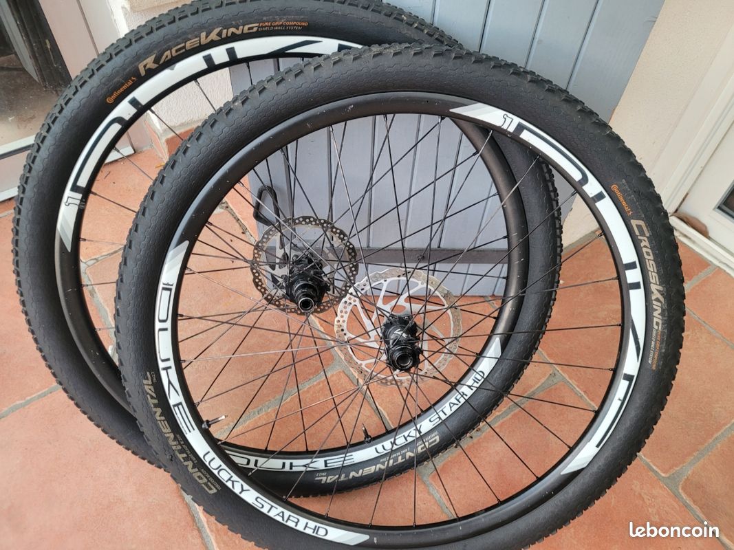 Roue VTT Duke Lucky star 29