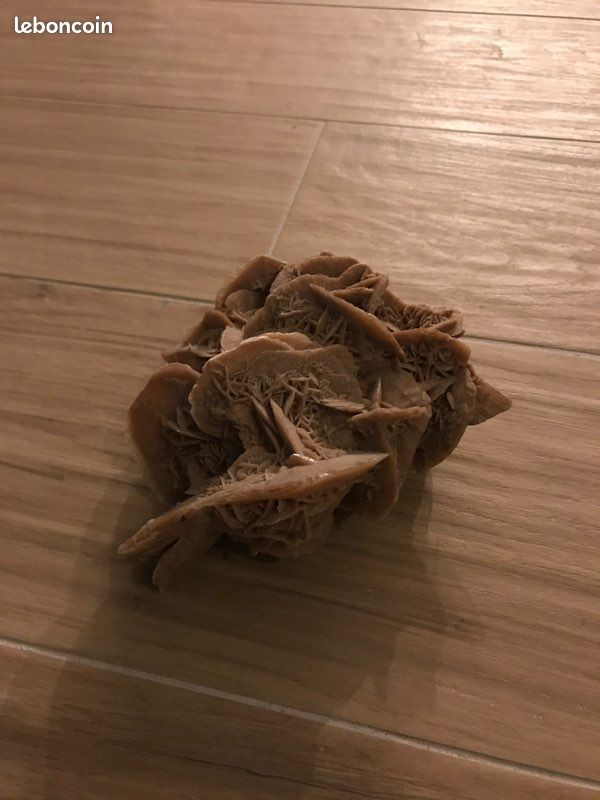 Rose des sables (image 1)