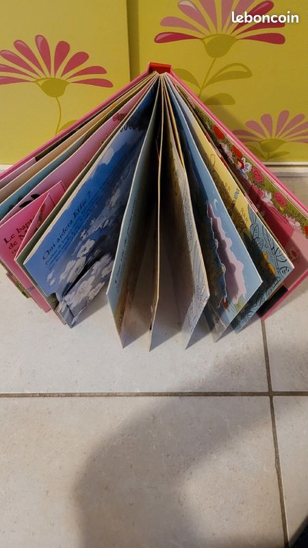Livre fées et Pincesses - Albums Kididoc (image 3)