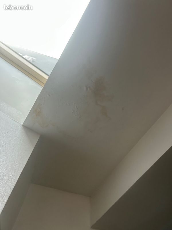 Appartement 3 pièces 51 m² · à Paris · 51 m² · 1 775 €/mois