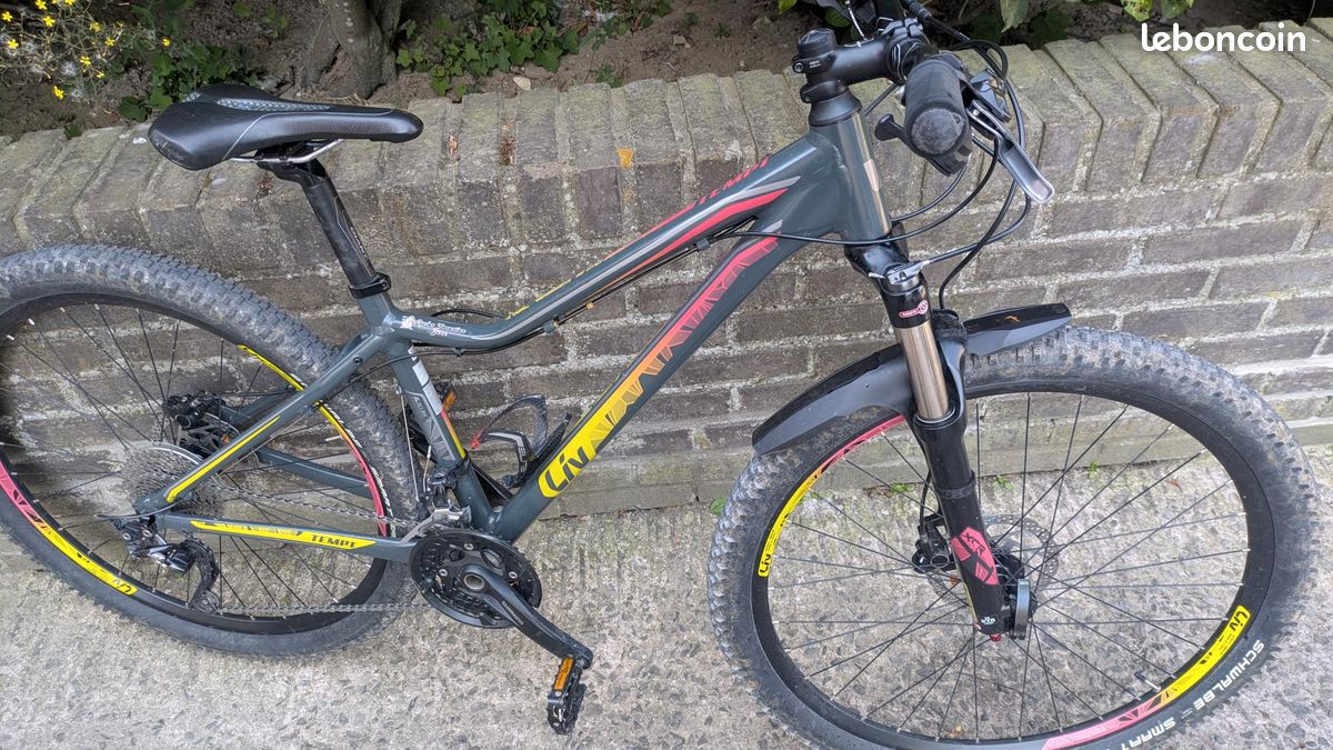 VTT femme ou enfant Giant Liv Tempt LTD Taille S 3x10v