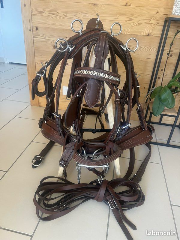 Ancien éperon Cheval – Argent/acier étoile Buermann – Orné – Vintage 10323