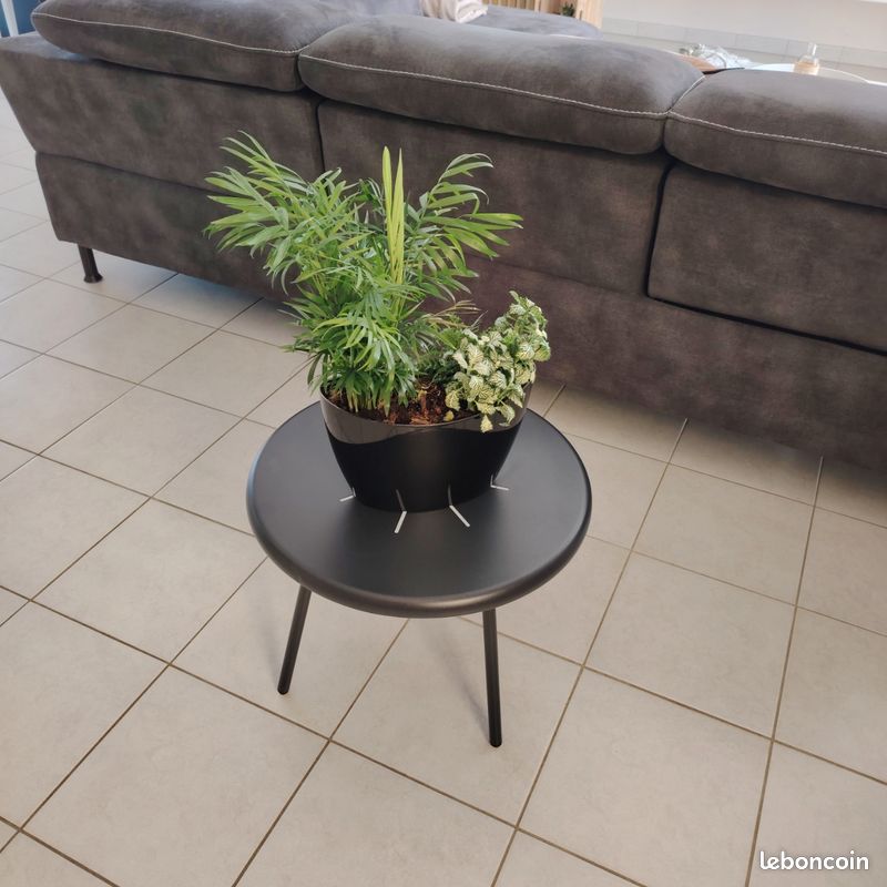 Table basse (image 1)