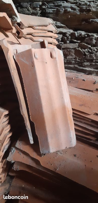 Tuiles tige de botte (image 1)