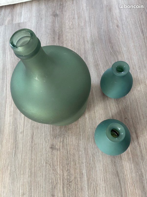 1 dame Jeanne et 2 soliflores vert sauge (image 3)