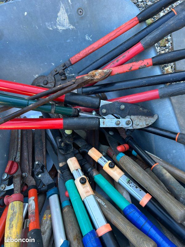 Vends plusieurs coupes branches et tailles haies manuels (image 4)