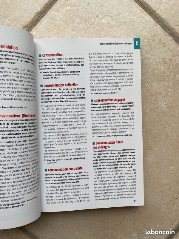 Dictionnaire d'économie et de sciences sociales (image 3)