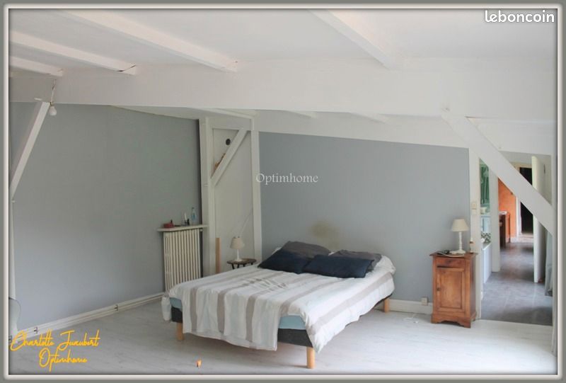 Maison de village 9 pièces 290 m² - Coteaux-du-Blanzacais 16250 Blanzac-Porcheresse (image principale 18)