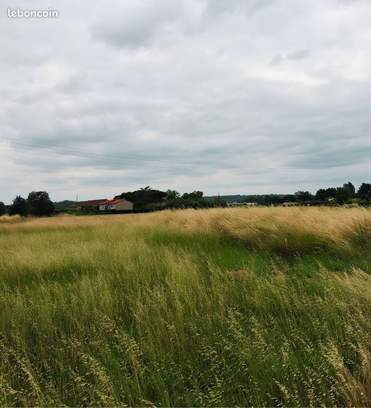 Terrain 1190 m² · à Saint-Sulpice-la-Pointe · 1 190 m² · 145 000 €