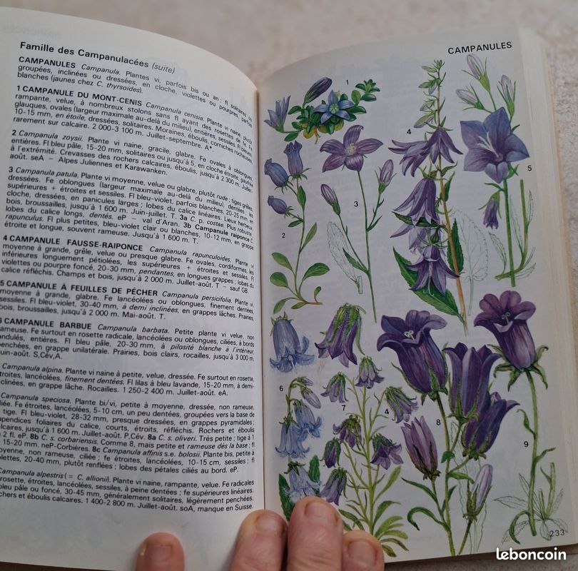 Livre Fleurs de montagne (image 3)
