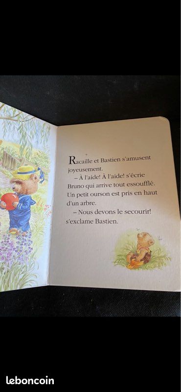 Livre cartonné les ours à la rescousse (image 2)