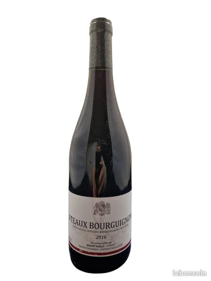 6 bouteilles bourgogne 2016 coteaux bourguignon Benoit Bailly (image 3)