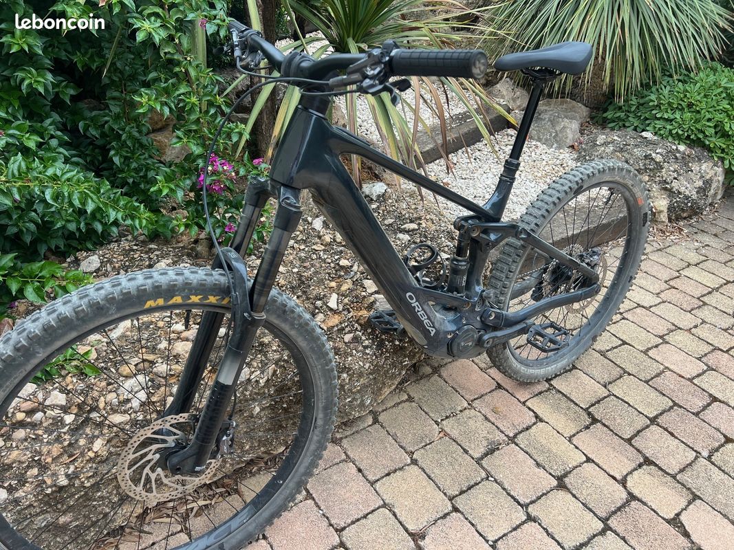 Orbea Wild 2024 (image 2)