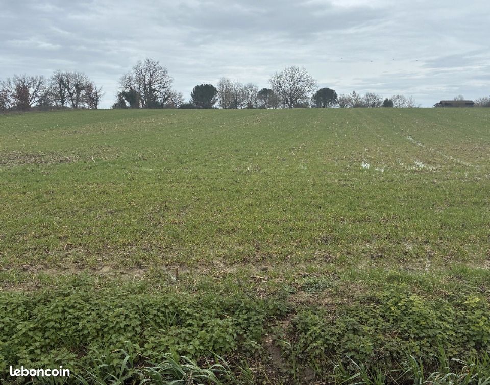 Terrain 1000 m² · à Gironde-sur-Dropt · 40 000 €