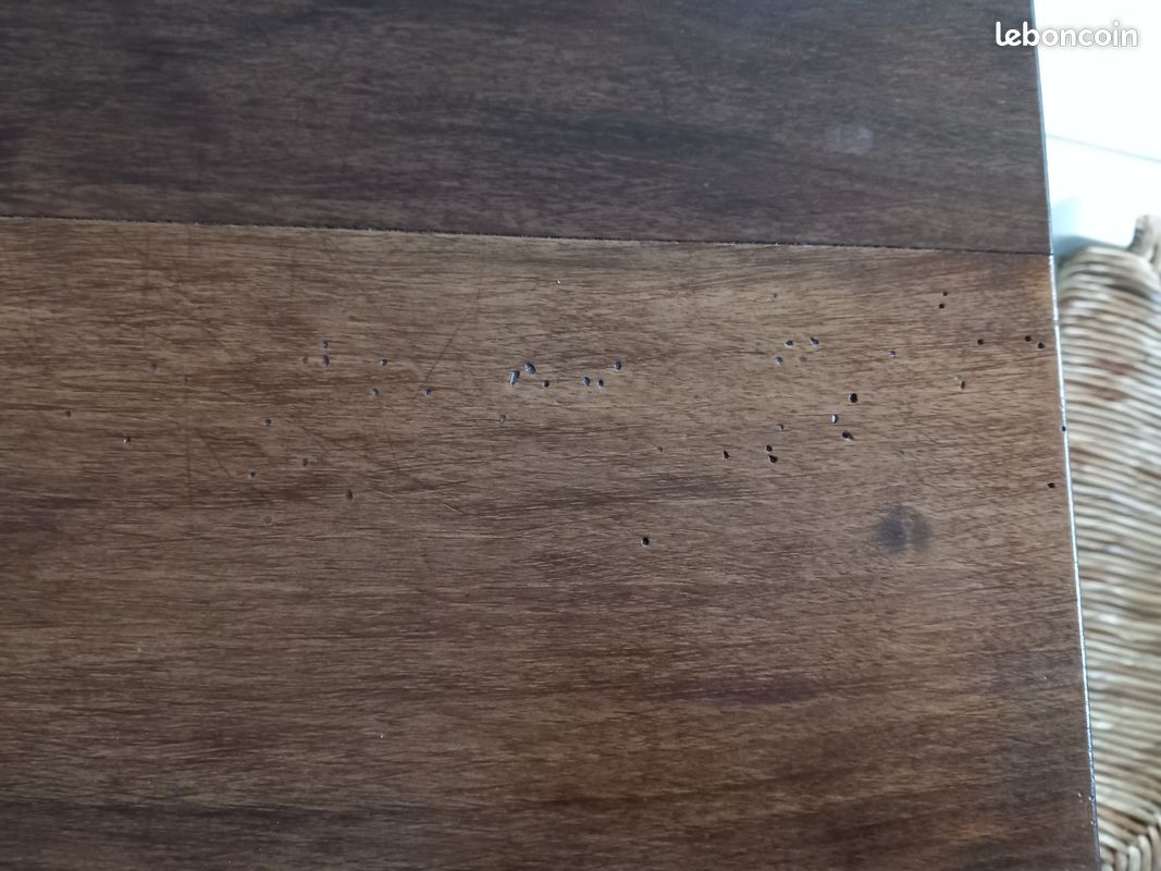 Table (image 8)