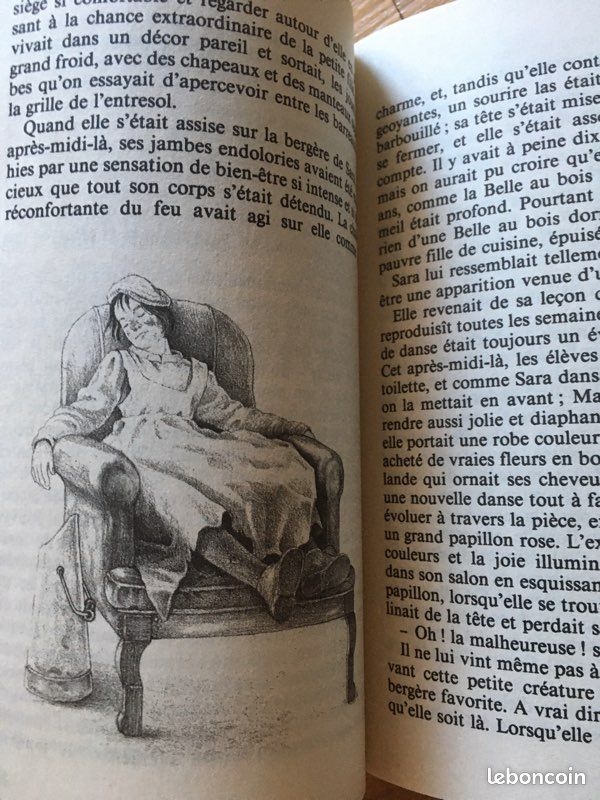 Roman Le petit prince et le petite princesse (image 3)