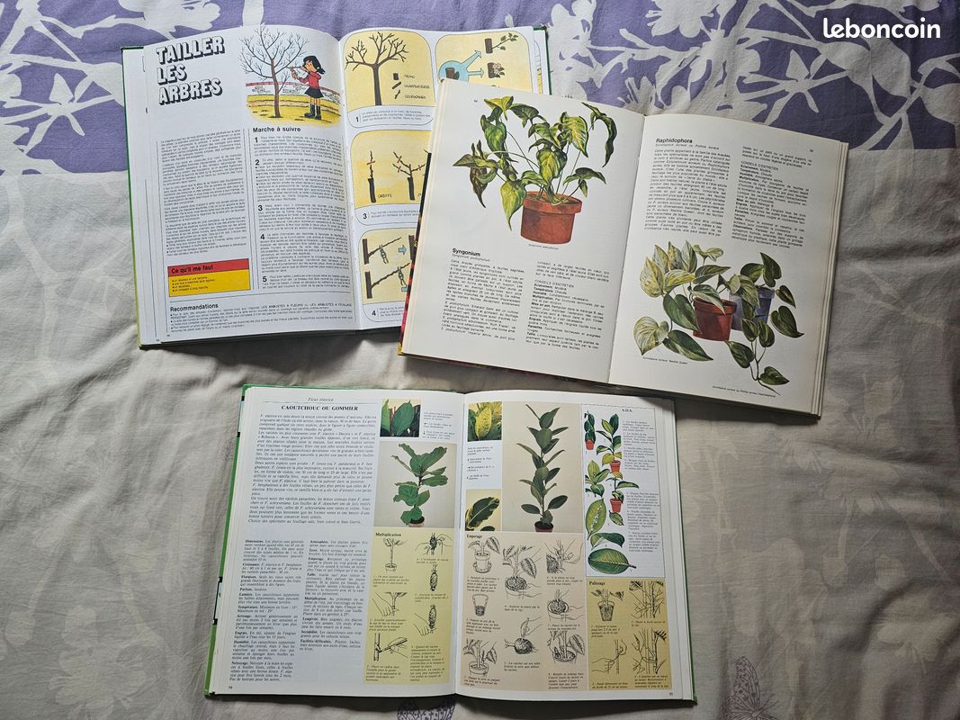 Lot de 3 livres de jardinage (image 3)