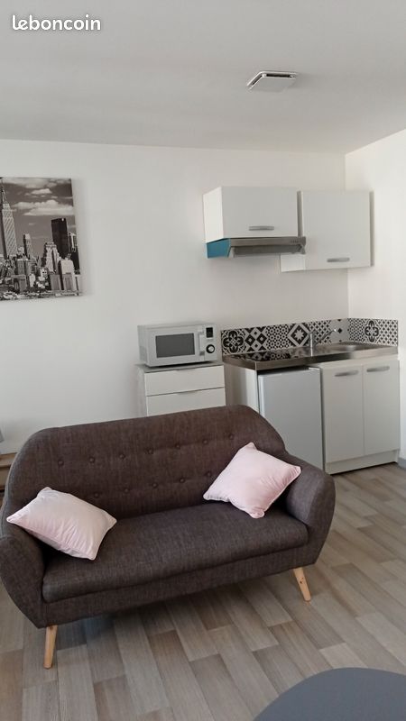Appartement meublé Pont-Neuf - Poitiers 86000 (image principale 2)