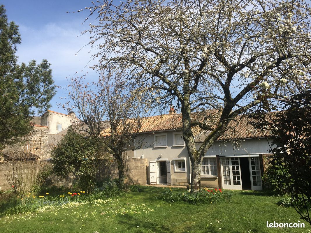 Maison de ville au cœur du Poitou avec beau jardin clos, proche de Poitiers (image 3)