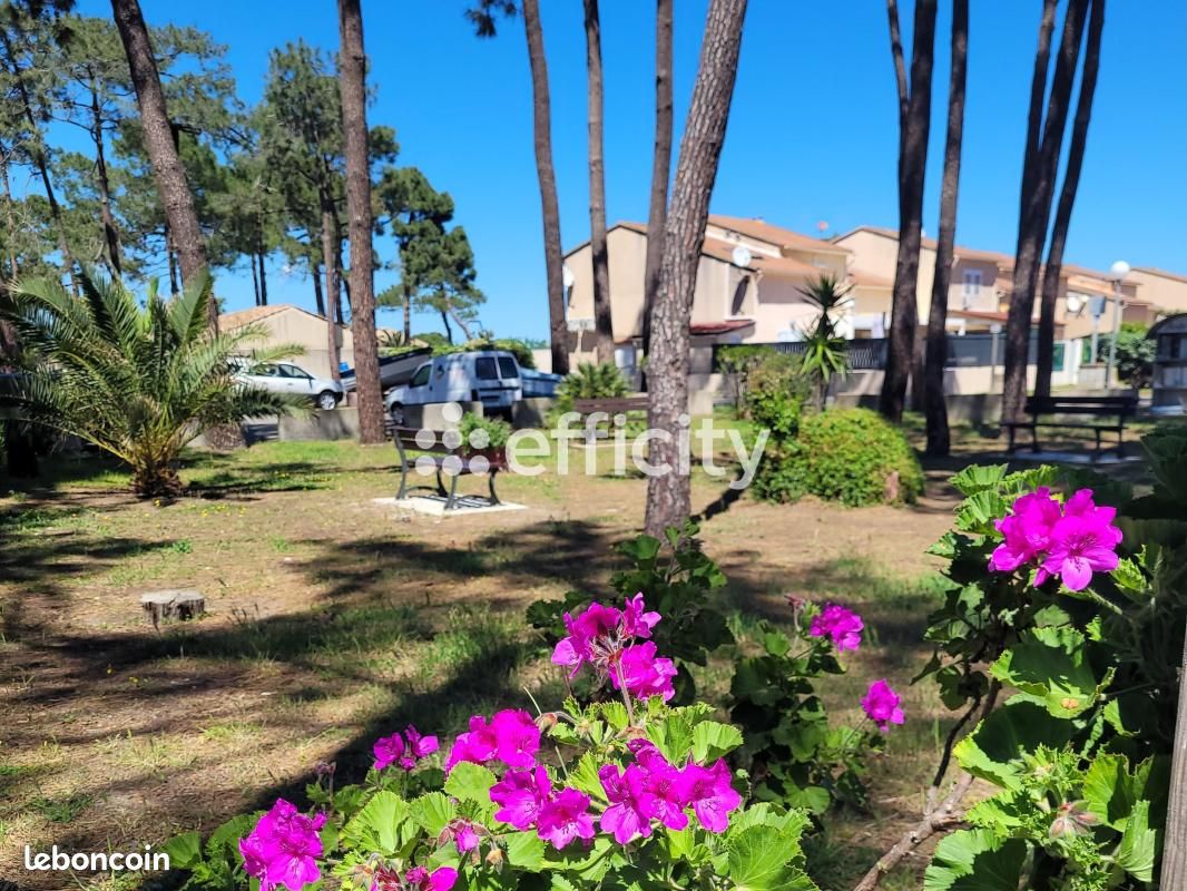 Appartement 3 pièces 52 m² · à Borgo · 52 m² · 190 000 €