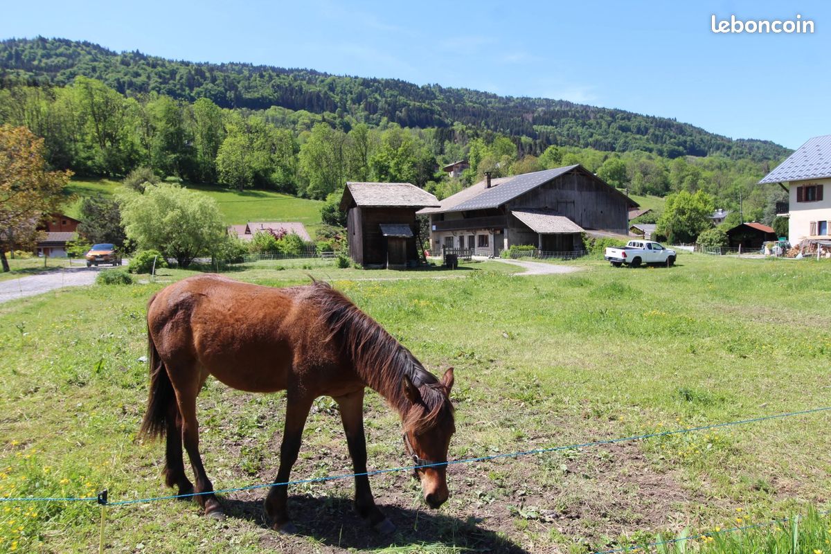 Maison 7 pièces 111 m² · à Morillon · 111 m² · 320 000 €