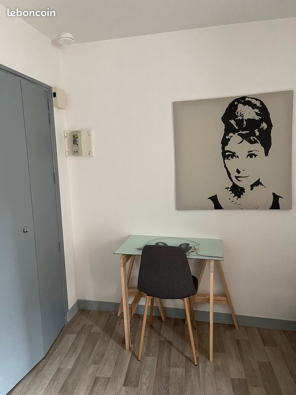 Studio meublé hyper centre ville - Poitiers 86000 (image principale 1)