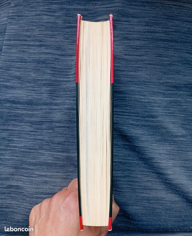 Livre "LE PARIS COMMUNARD", de Maurice Choury, Librairie Académique Perrin, Relié, 1970, illustrations en noir et blanc, contre-plats illustrés en couleur, très bon état (image 4)