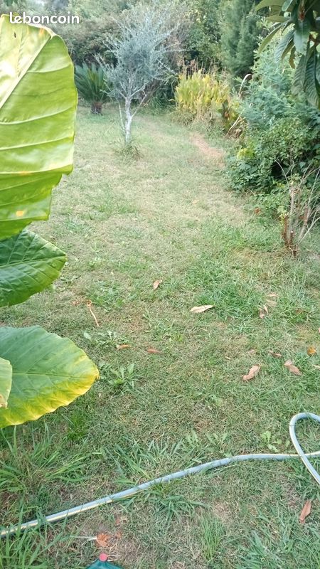 Terrain de loisirs · à Ille-sur-Têt · 890 000 €