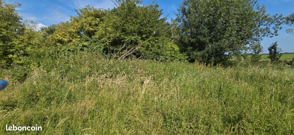 Terrain 1000 m² · à Saint-Antoine-la-Forêt · 79 000 €