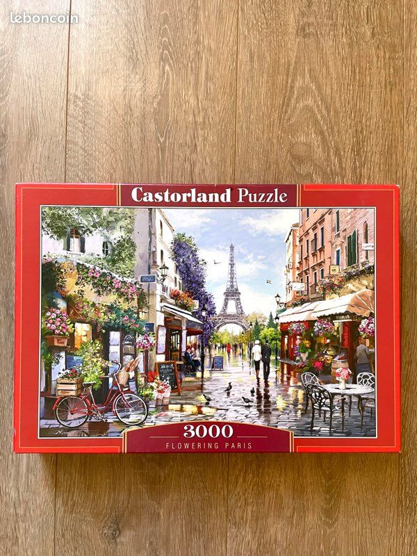 Puzzle 3000 pièces (image 1)