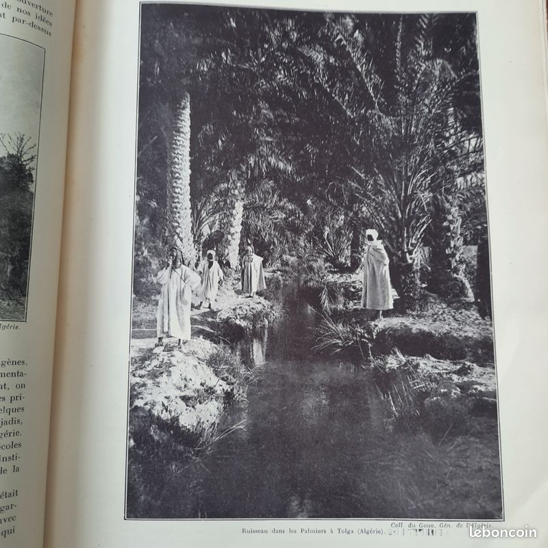 Le domaine colonial Français. Afrique du Nord et Afrique Noire. 1929 (image 20)