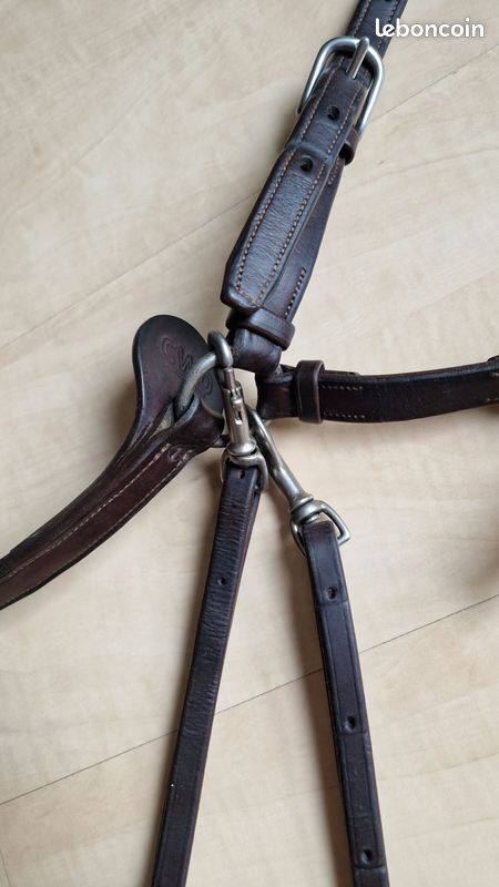 Martingale anglaise en cuir plat CWD - Taille 2 (Cob) - Neuf avec