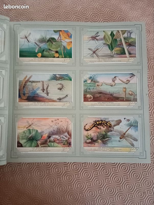 Album Chromos LIEBIG, complet, 300 images (image 8)
