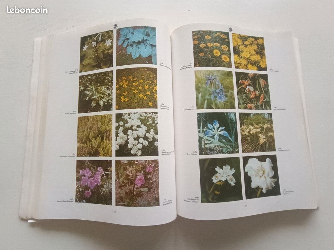 Livre. Garden Plants (image 4)
