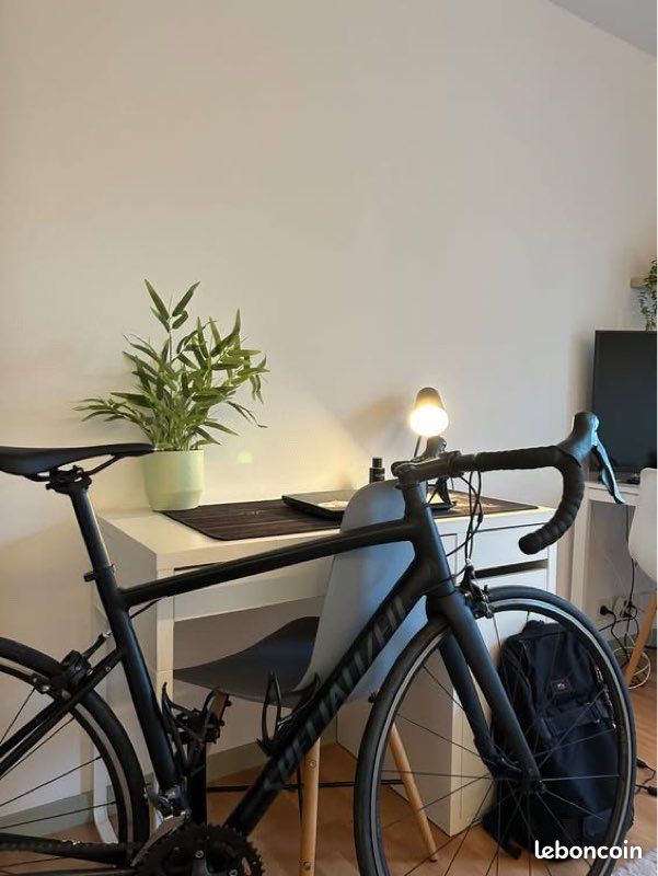 Vélo De Route Specialized Allez – Cadre Noir 56 Cm, 22 Vitesses, Roues 700C, Occasion